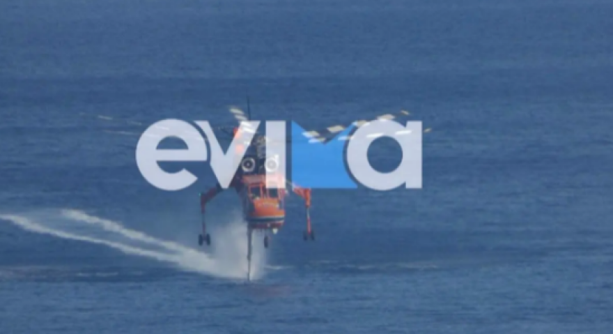 Φωτιά σε δασική έκταση στην Κάρυστο - «Έφτασε μέσα στις αυλές»