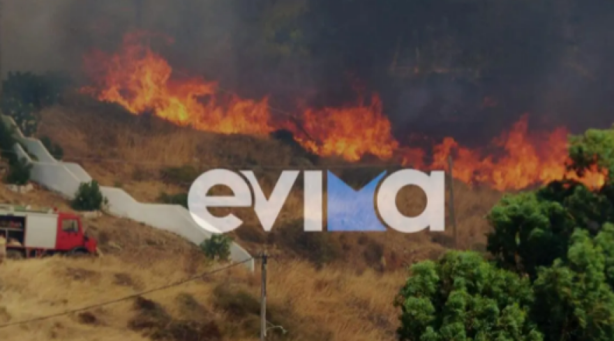 Φωτιά σε δασική έκταση στην Κάρυστο - «Έφτασε μέσα στις αυλές»