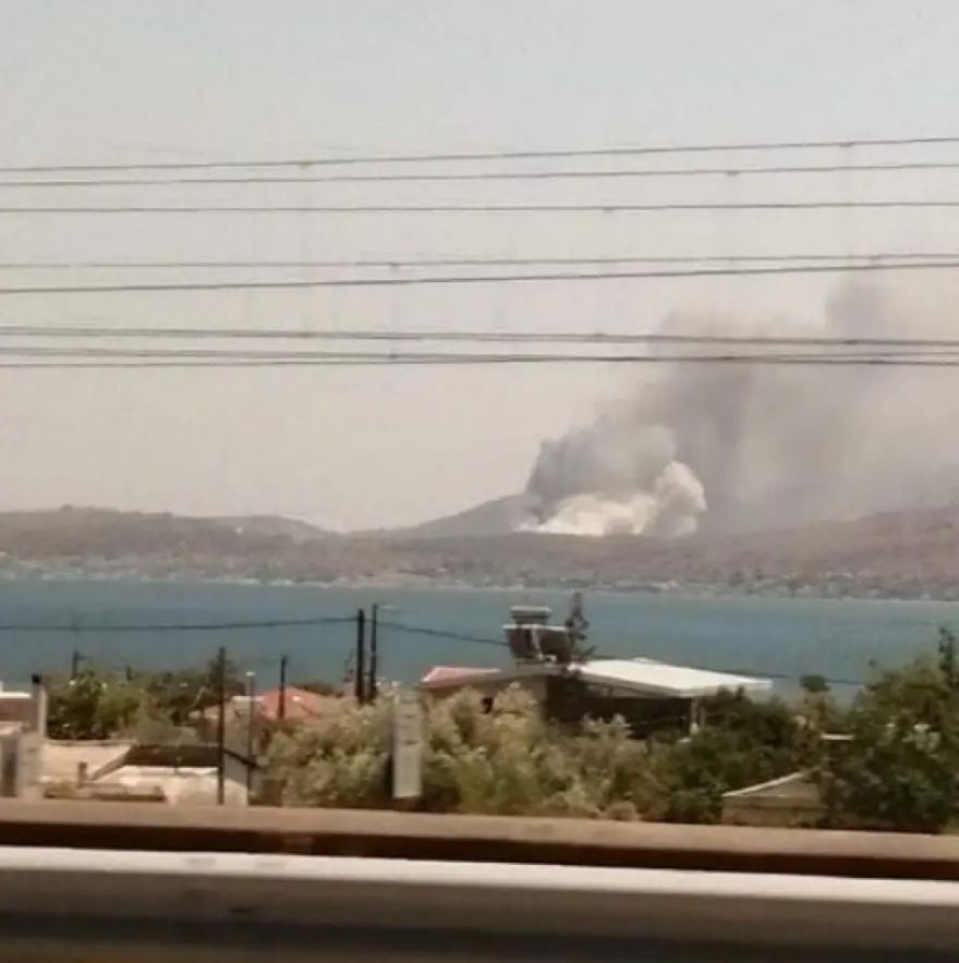 Συνεχίζεται η μάχη με τη φωτιά στο Αραχναίο Αργολίδας - Δείτε βίντεο και φωτογραφίες