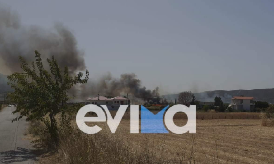 Υπό έλεγχο η φωτιά που ξέσπασε κοντά σε σπίτια στα Κριεζά Ευβοίας - Δείτε βίντεο και φωτογραφίες