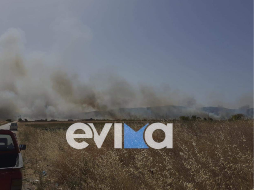 Υπό έλεγχο η φωτιά που ξέσπασε κοντά σε σπίτια στα Κριεζά Ευβοίας - Δείτε βίντεο και φωτογραφίες