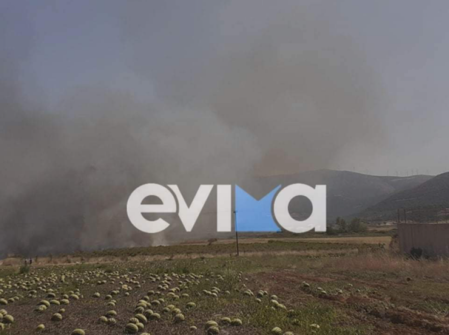 Υπό έλεγχο η φωτιά που ξέσπασε κοντά σε σπίτια στα Κριεζά Ευβοίας - Δείτε βίντεο και φωτογραφίες