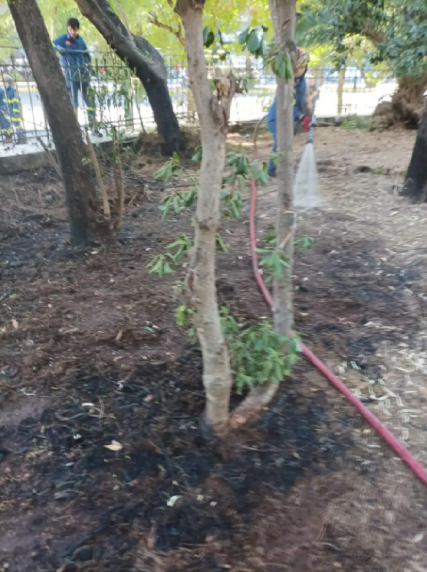 Εμπρησμός στο Πεδίον του Άρεως: Ποια είναι η γυναίκα που διώκεται ποινικά από τις Αρχές