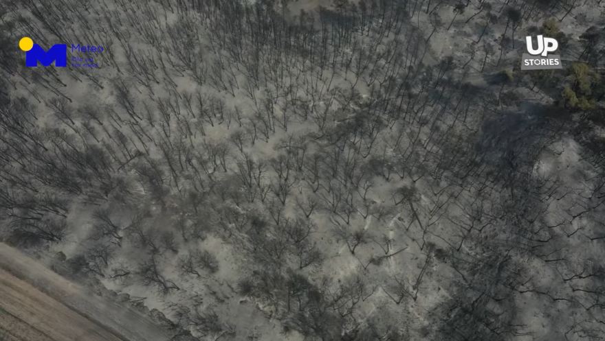 Φωτιά στην Εύβοια - Drone πάνω από τις καμένες εκτάσεις: Όλη η καταστροφή σε ένα βίντεο