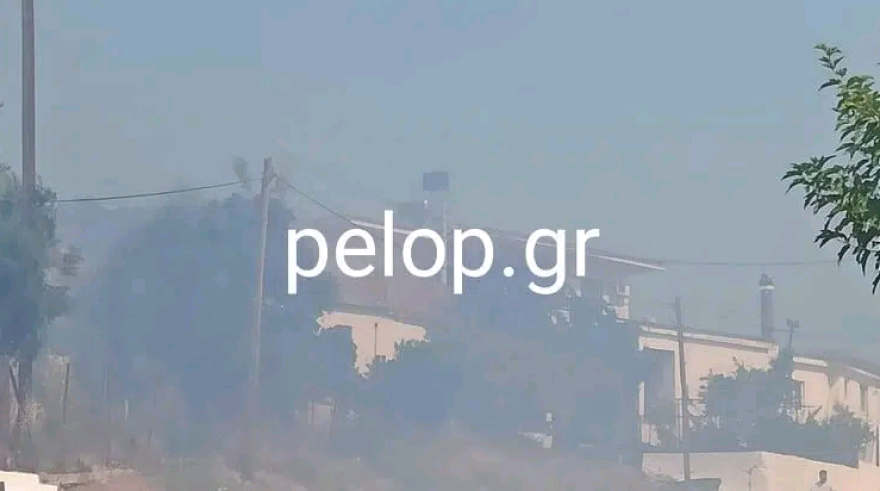 Πυρκαγιές: Συνεχίζεται η μάχη σε Εύβοια, Ηλεία-Αρκαδία και Λακωνία