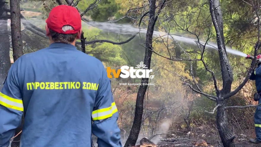 Στο στόχαστρο ο Θεολόγος - Νέα εστία φωτιάς την Πέμπτη