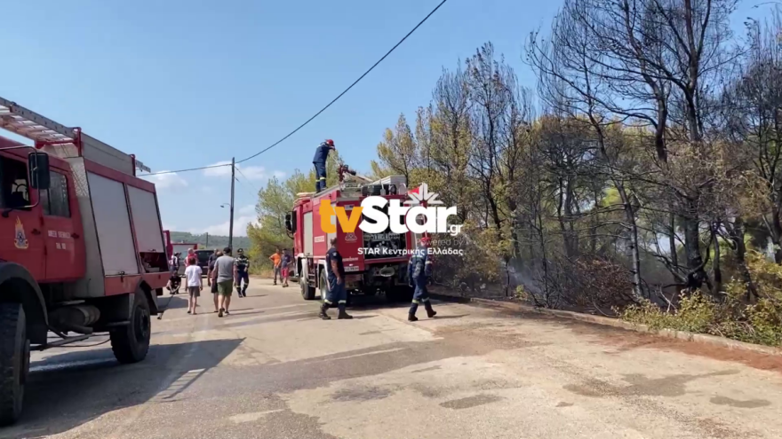 Στο στόχαστρο ο Θεολόγος - Νέα εστία φωτιάς την Πέμπτη