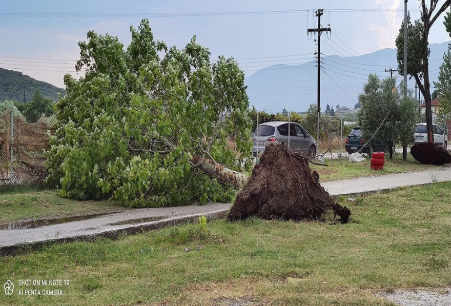 Κακοκαιρία στην Καβάλα: Έριξε χαλάζι σε μέγεθος μπάλας μπιλιάρδου - Δείτε βίντεο