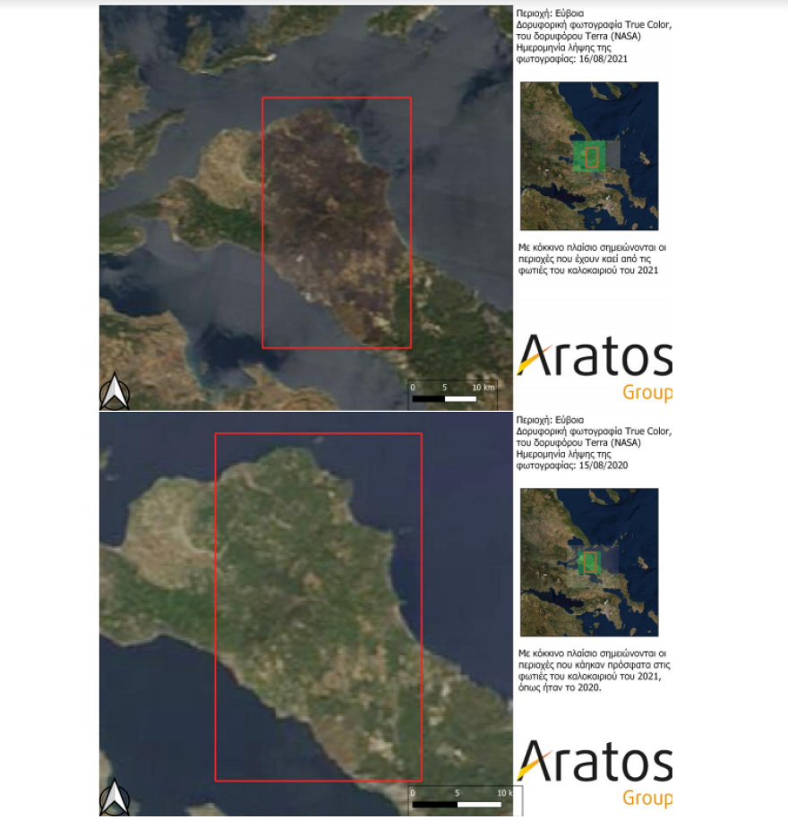 Πώς η νέα τεχνολογία μπορεί να σώσει τα δάση από φωτιές και καταπατητές