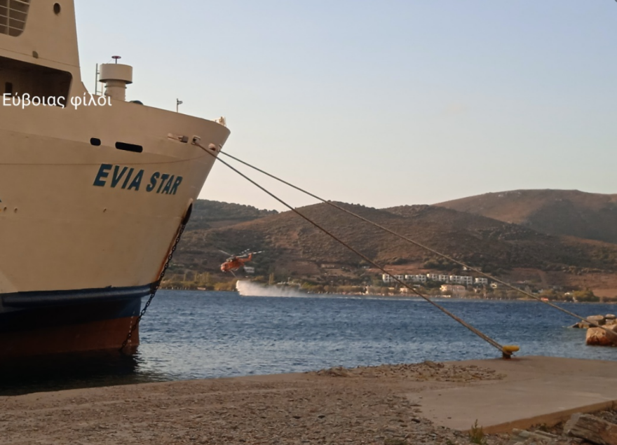 Φωτιά στην Κάρυστο: Καλύτερη η εικόνα -Οριοθετημένη στον οικισμό Κοκκίνη- Ζημιές σε σπίτια 