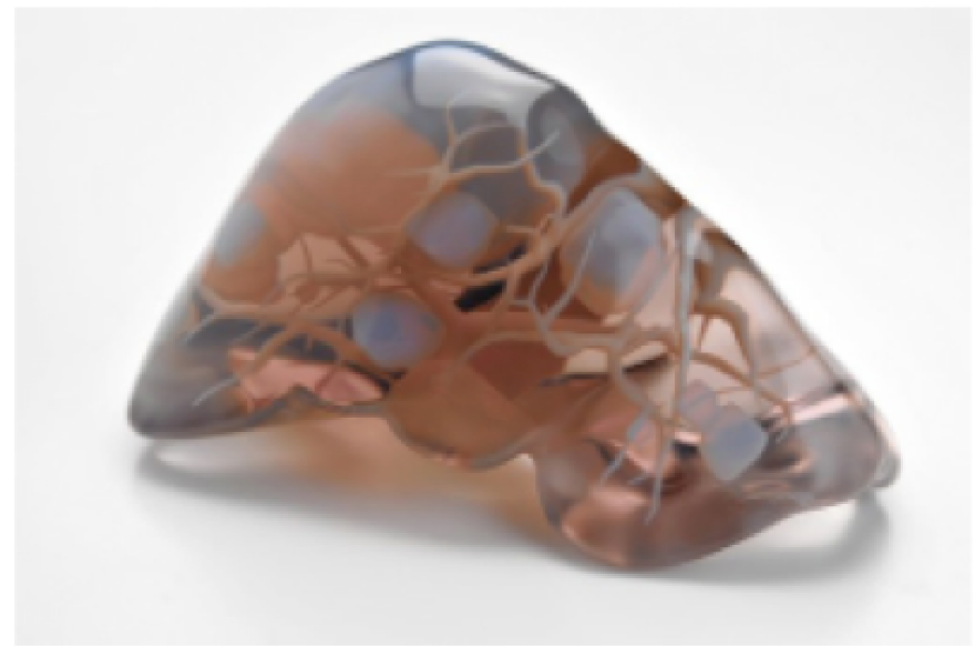 3D βιοεκτυπώσεις ανθρωπίνων ιστών & οργάνων