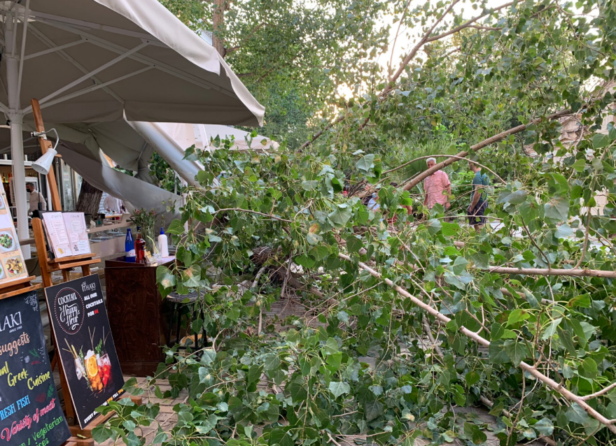 Πτώση δέντρου σε εστιατόριο στο κέντρο της Αθήνας – Πάιατ και Μενέντεζ δειπνούσαν εκεί
