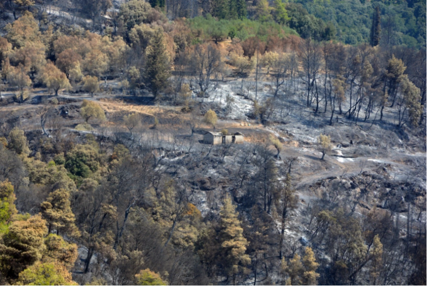 Πυρκαγιές - Μέτρα στήριξης για τους πληγέντες: Οι προθεσμίες και η  διαδικασία  χορήγησης στεγαστικής συνδρομής