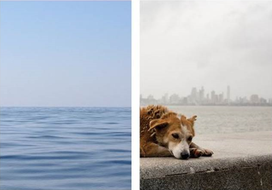 «Νόστος και Άλγος»: Μια ιδιαίτερη έκθεση φωτογραφίας στην Gallery Ζουμπουλάκη