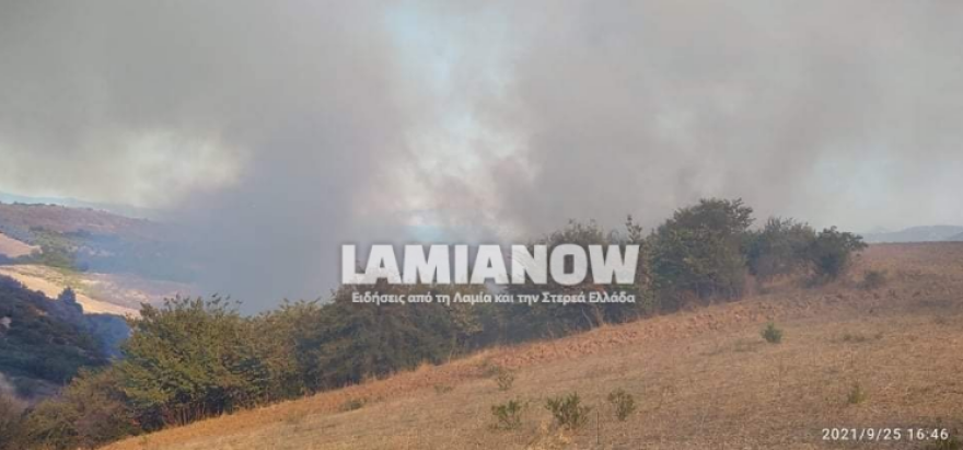 Φωτιά στην Αταλάντη - Επιχειρούν δύο αεροσκάφη