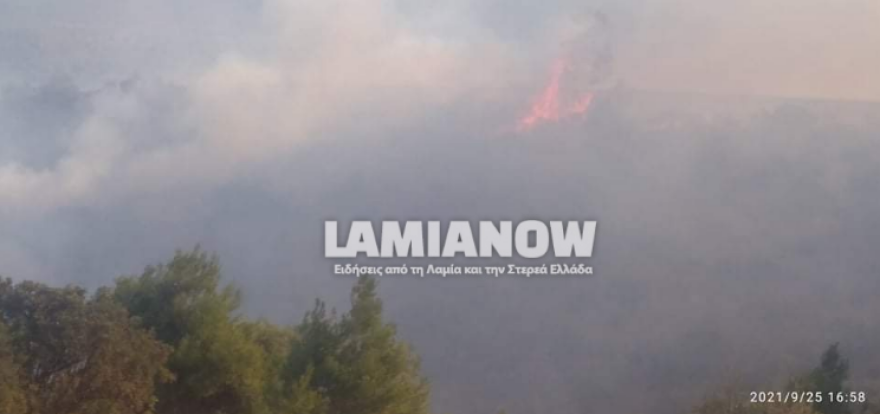 Φωτιά στην Αταλάντη - Επιχειρούν δύο αεροσκάφη