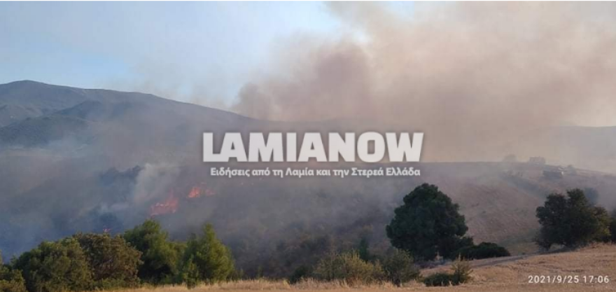 Φωτιά στην Αταλάντη - Επιχειρούν δύο αεροσκάφη