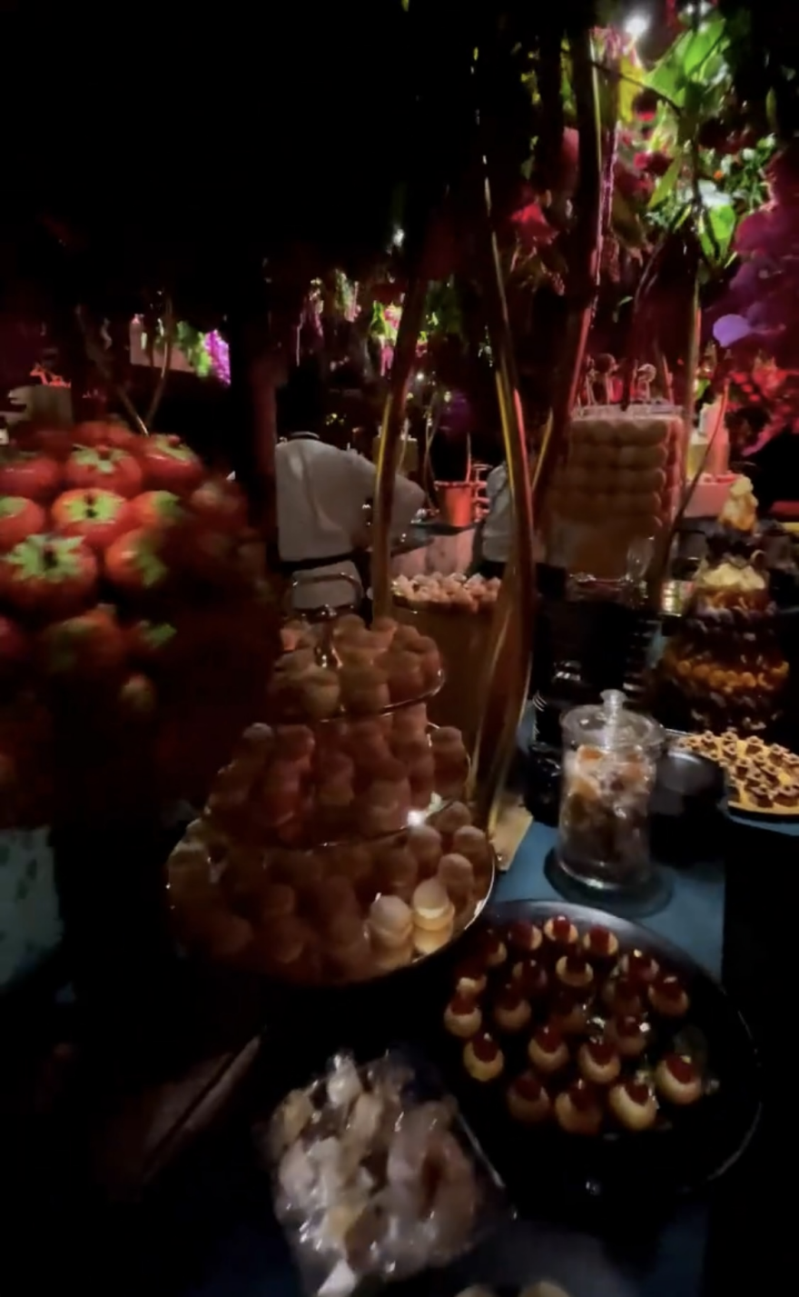 Μονακό: Ο γάμος της οικογένειας Ζέιν και τα μυθικά πάρτι - Δείτε βίντεο και φωτογραφίες