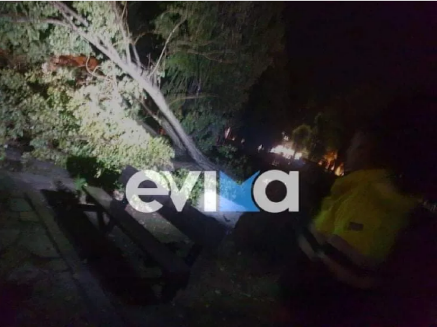 Ερέτρια: Μεγάλες ζημιές από την κακοκαιρία «Αθηνά» – Δείτε εικόνες