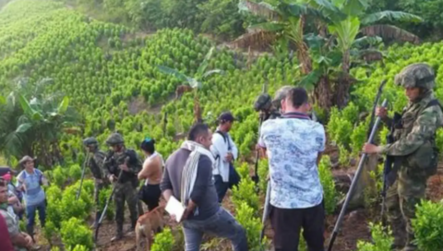 Κολομβία: Ελεύθεροι οι 180 στρατιωτικοί που κράταγαν καλλιεργητές κόκας - Δείτε βίντεο