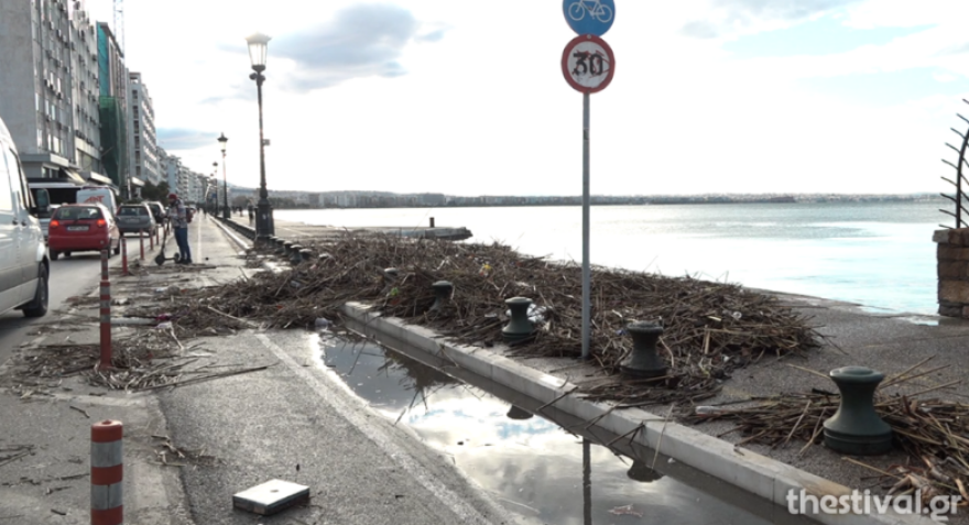Θεσσαλονίκη: Καλάμια και σκουπίδια ξέβρασε ο Θερμαϊκός (βίντεο - φωτογραφίες)