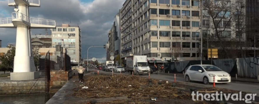 Θεσσαλονίκη: Καλάμια και σκουπίδια ξέβρασε ο Θερμαϊκός (βίντεο - φωτογραφίες)