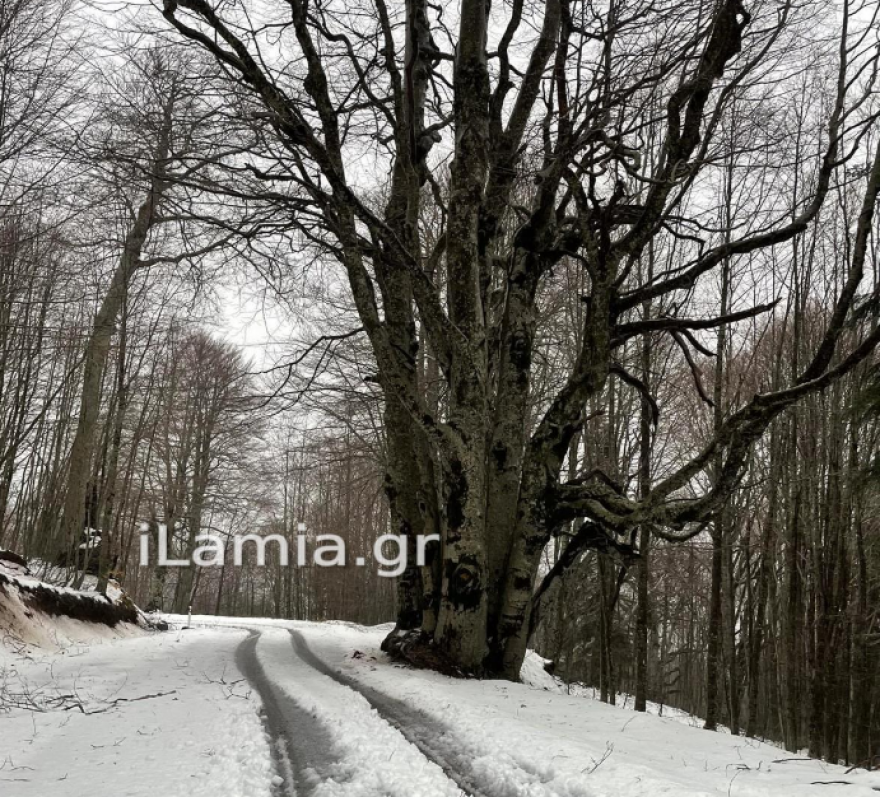Σε κλοιό κακοκαιρίας η χώρα με σφοδρούς ανέμους, πλημμύρες, υπερχείλιση ποταμών - Πού θα χτυπήσει την Κυριακή 