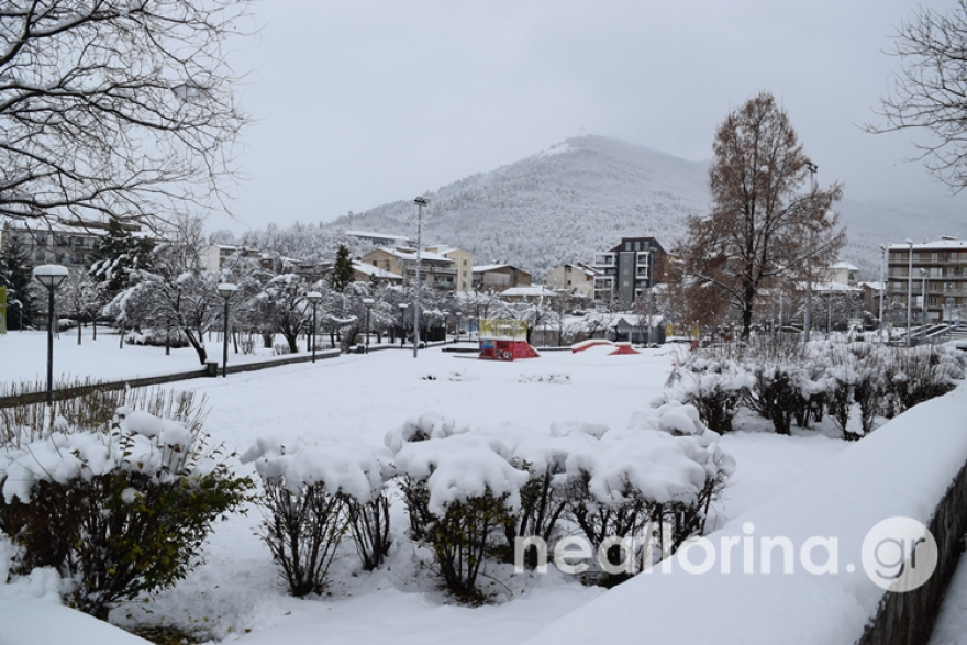 Κακοκαιρία «Διομήδης»: Προβλήματα σε Φάρσαλα και Τρίκαλα, εκκενώθηκε οικισμός - Μήνυμα του 112 στη Μαγνησία
