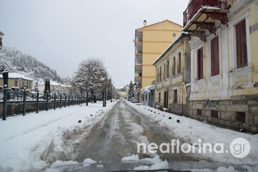 Κακοκαιρία «Διομήδης»: Προβλήματα σε Φάρσαλα και Τρίκαλα, εκκενώθηκε οικισμός - Μήνυμα του 112 στη Μαγνησία