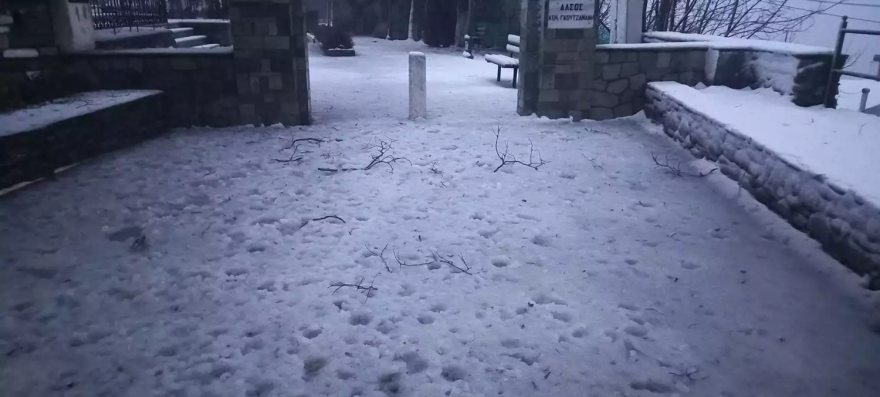 Κακοκαιρία «Διομήδης»: Προβλήματα σε Φάρσαλα και Τρίκαλα, εκκενώθηκε οικισμός - Μήνυμα του 112 στη Μαγνησία