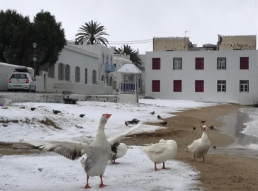 Κακοκαιρία «Ελπίς»:  Πρωτόγνωρες εικόνες - Στα «λευκά» ντύθηκαν τα νησιά του Αιγαίου