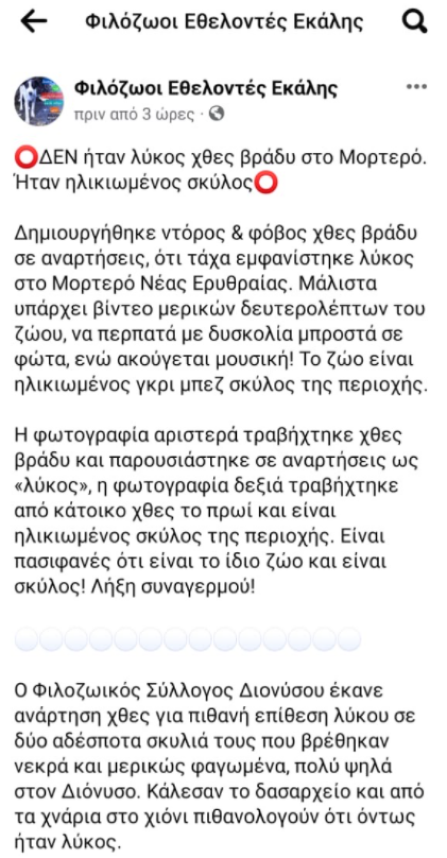 H αλήθεια για τον λύκο που φέρεται να κατασπάραξε σκύλους στον Διόνυσο