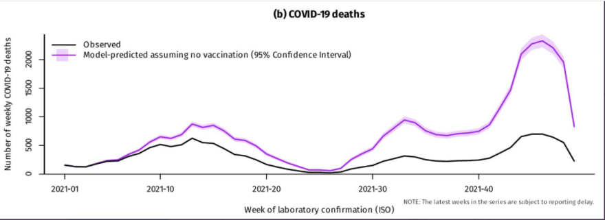 Ο εμβολιασμός απέτρεψε σχεδόν 20.000 θανάτους μέχρι τα τέλη του 2021, δείχνει νέα μελέτη των Τσιόδρα-Λύτρα