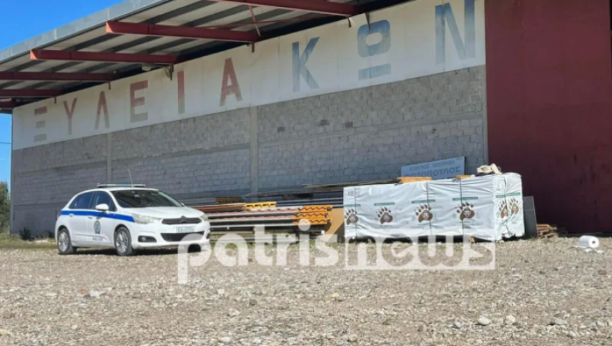 Πύργος: Αυτόπτης μάρτυρας περιγράφει το πριν και το μετά της δολοφονίας του 67χρονου επιχειρηματία (βίντεο)