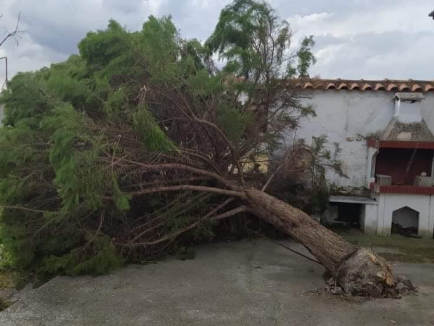 Καιρός: Καταστροφές από 13 μποφόρ στην Πέλλα, πώς θα κινηθούν οι άνεμοι τις επόμενες ώρες