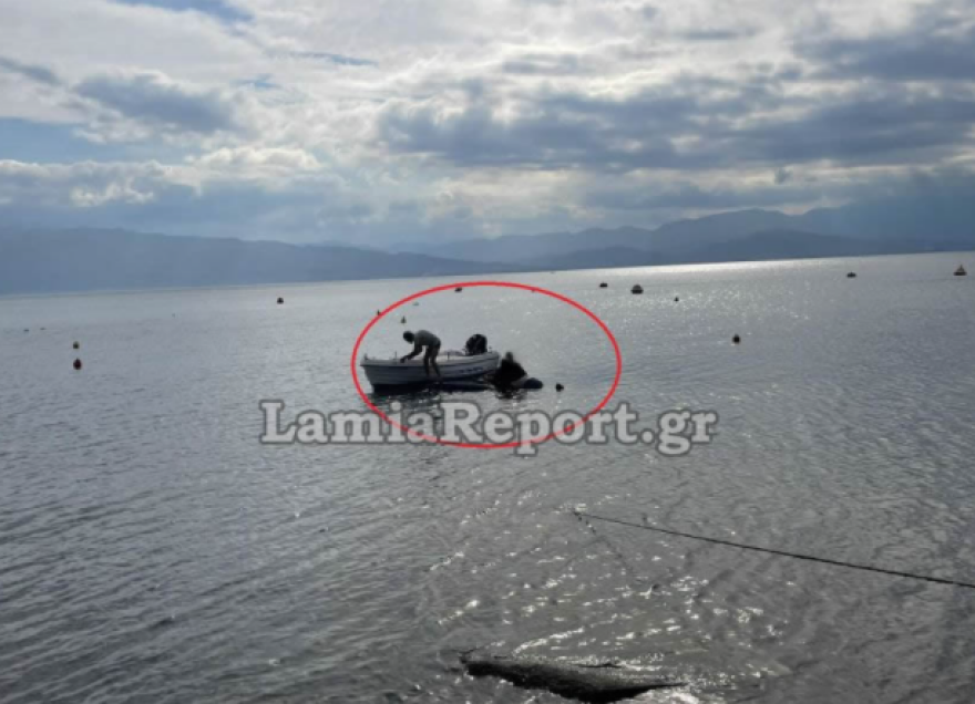 Φθιώτιδα: Ηλικιωμένος οδηγός έπεσε στη θάλασσα με το αυτοκίνητο - Δείτε βίντεο και φωτογραφίες