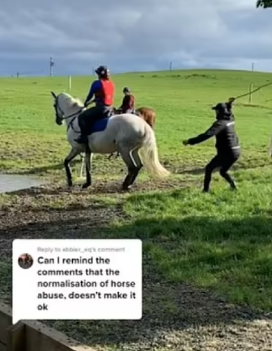 Κατακραυγή για χρυσό Ολυμπιονίκη που μαστίγωνε βάναυσα το άλογό του - Δείτε βίντεο