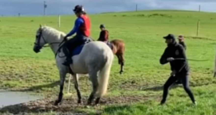 Κατακραυγή για χρυσό Ολυμπιονίκη που μαστίγωνε βάναυσα το άλογό του - Δείτε βίντεο