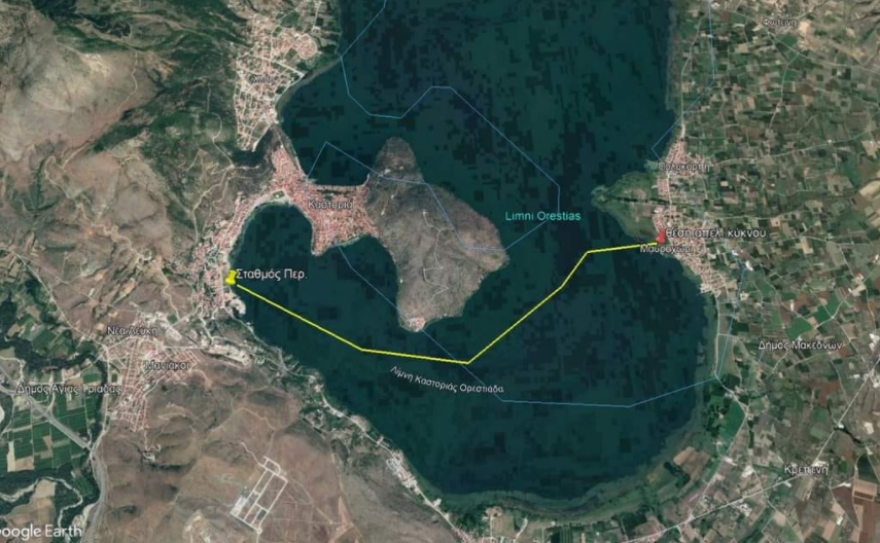 Καστοριά: Ο θρήνος ενός αρσενικού κύκνου... για τον χαμό της αγαπημένης του