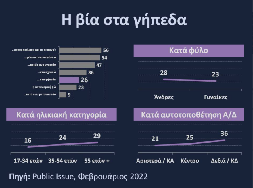 Public Issue: Η βία σε δρόμους και γειτονιές το σοβαρότερο πρόβλημα βίας για τους πολίτες 