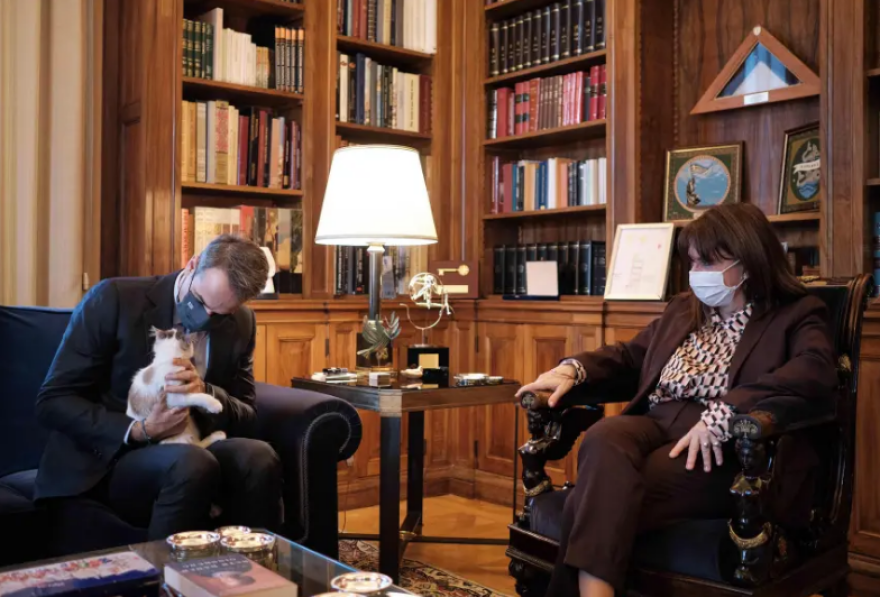 Κατερίνα Σακελλαροπούλου: Η ανάρτηση στο instagram με τη γάτα της με αφορμή την παγκόσμια ημέρα αδέσποτων ζώων