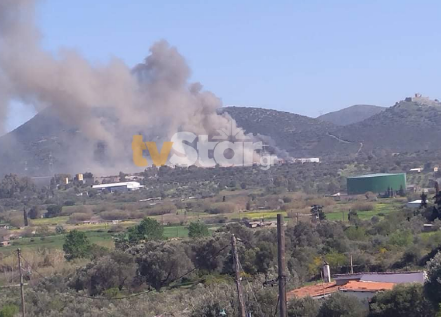 Υπό έλεγχο η μεγάλη φωτιά κοντά στο εργοστάσιο της ΔΕΗ στο Αλιβέρι