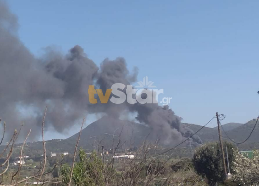 Υπό έλεγχο η μεγάλη φωτιά κοντά στο εργοστάσιο της ΔΕΗ στο Αλιβέρι