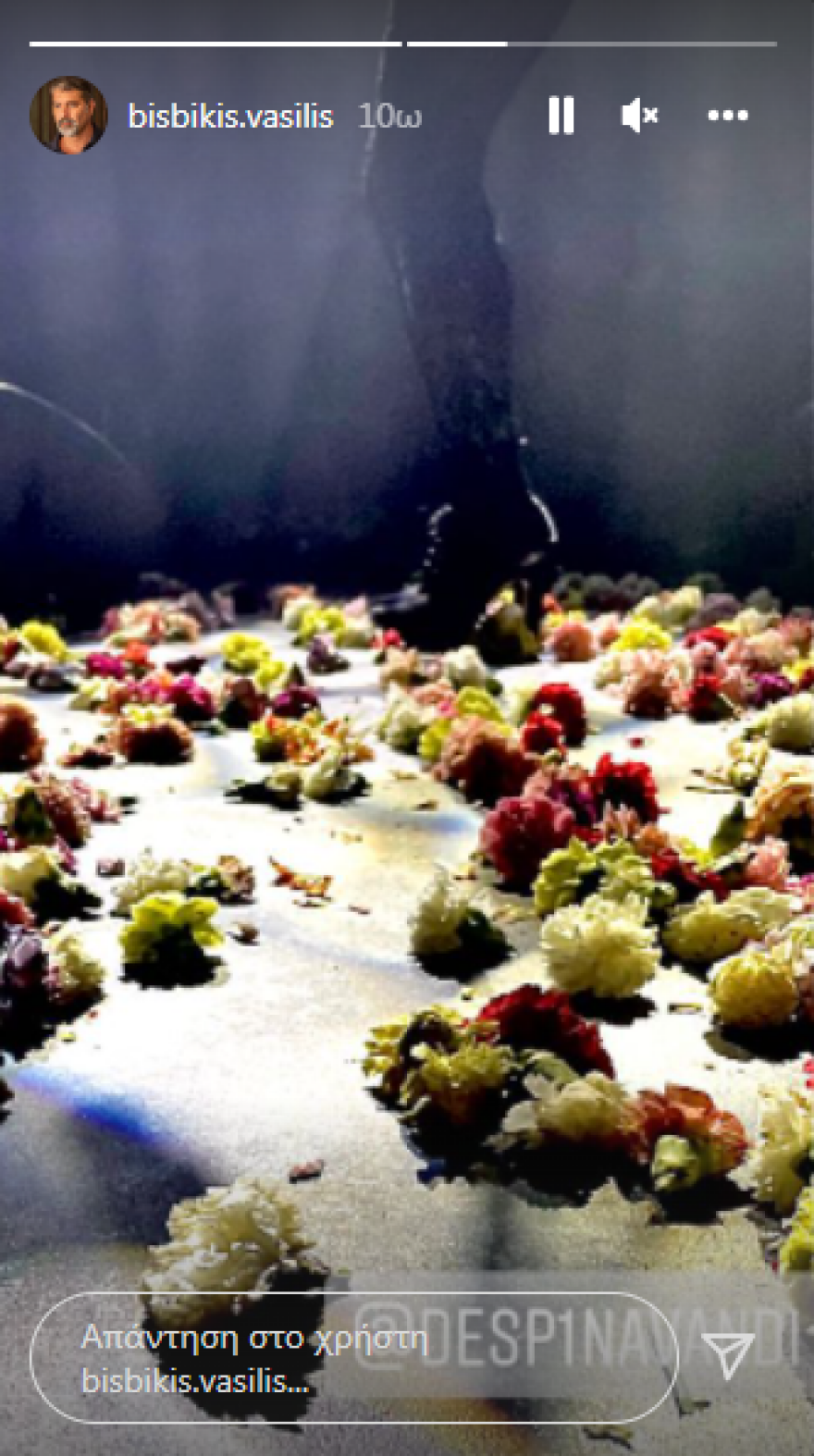 Δέσποινα Βανδή: Ο Βασίλης Μπισμπίκης την απαθανατίζει στην πίστα