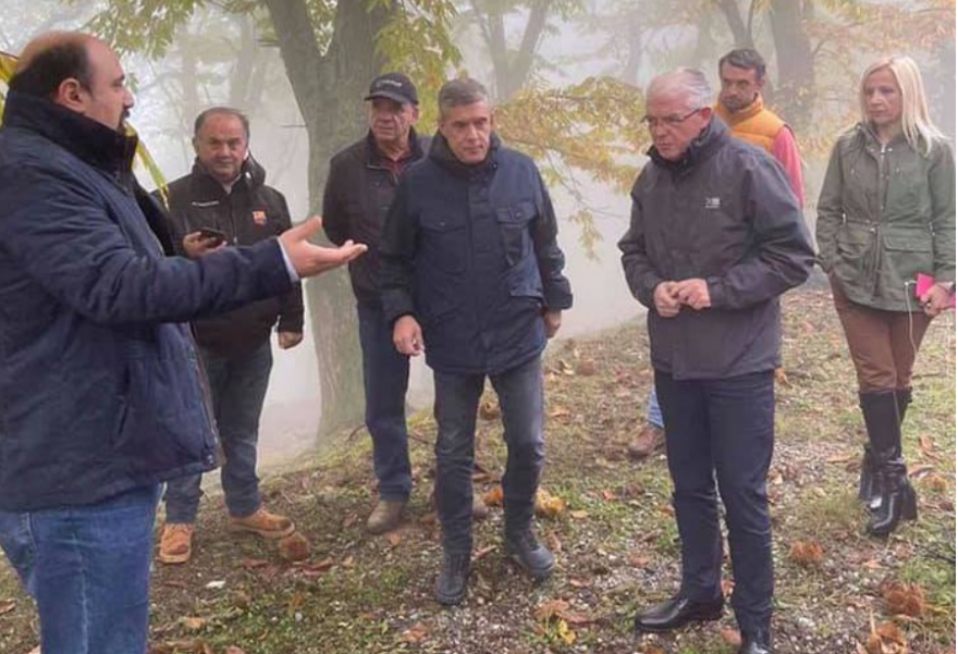 ΕΛΓΑ: Έρχονται νέες πληρωμές για αποζημιώσεις, ποιους αφορά