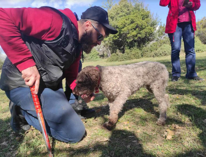 Μετέωρα: Εννέα νέα βραβεία στο Μουσείο Φυσικής Ιστορίας και Μανιταριών