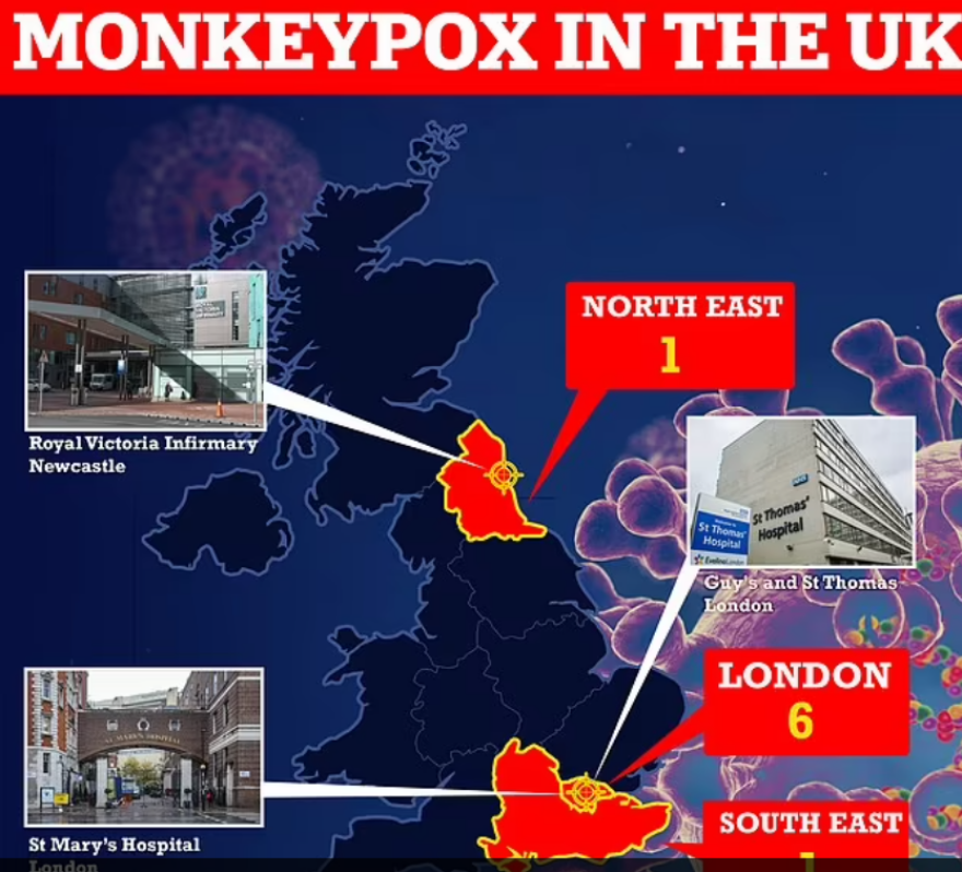 Ανησυχία στην Ευρώπη: Η «ευλογιά των πιθήκων» εξαπλώνεται στην Γηραιά Ήπειρο