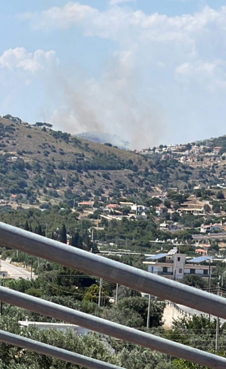 Κερατέα: Δείτε πώς έσβησαν τη φωτιά
