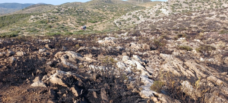Κερατέα: Δείτε πώς έσβησαν τη φωτιά