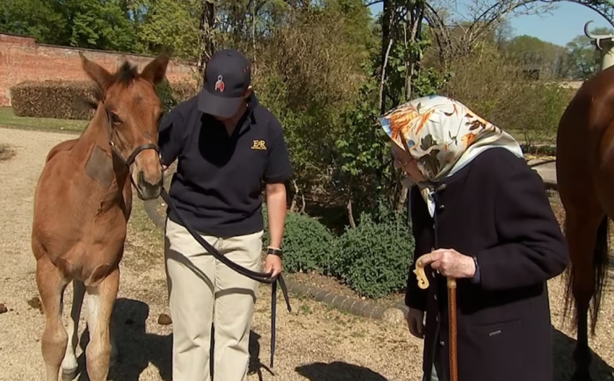 Βίντεο: Η Βασίλισσα Ελισάβετ... αλλιώς: Φορά μαντίλι στο κεφάλι και ταΐζει καρότα τα αγαπημένα της άλογα!